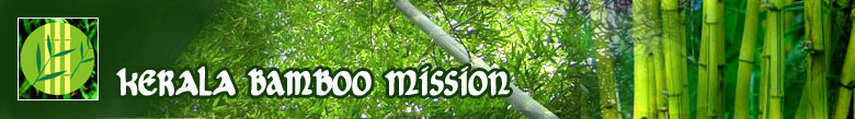 State Bamboo Mission